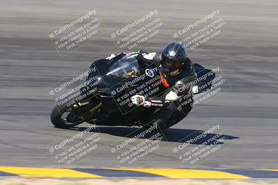 media/May-12-2024-SoCal Trackdays (Sun) [[ad755dc1f9]]/6-Bowl (845am)/